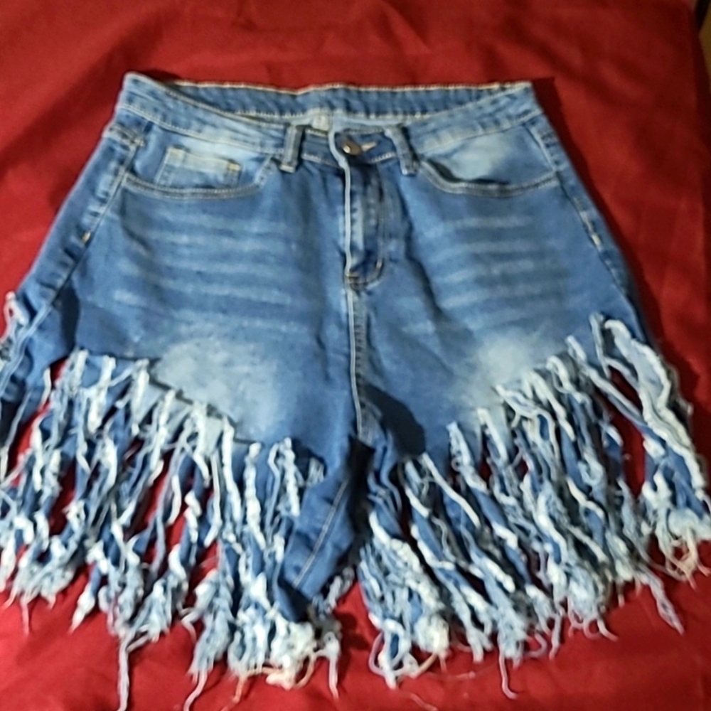 SHINGLE Denim Jean Shorts